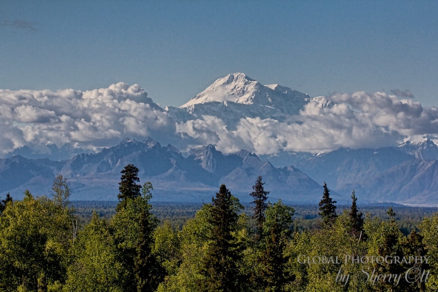Alaska railroad Denali Star