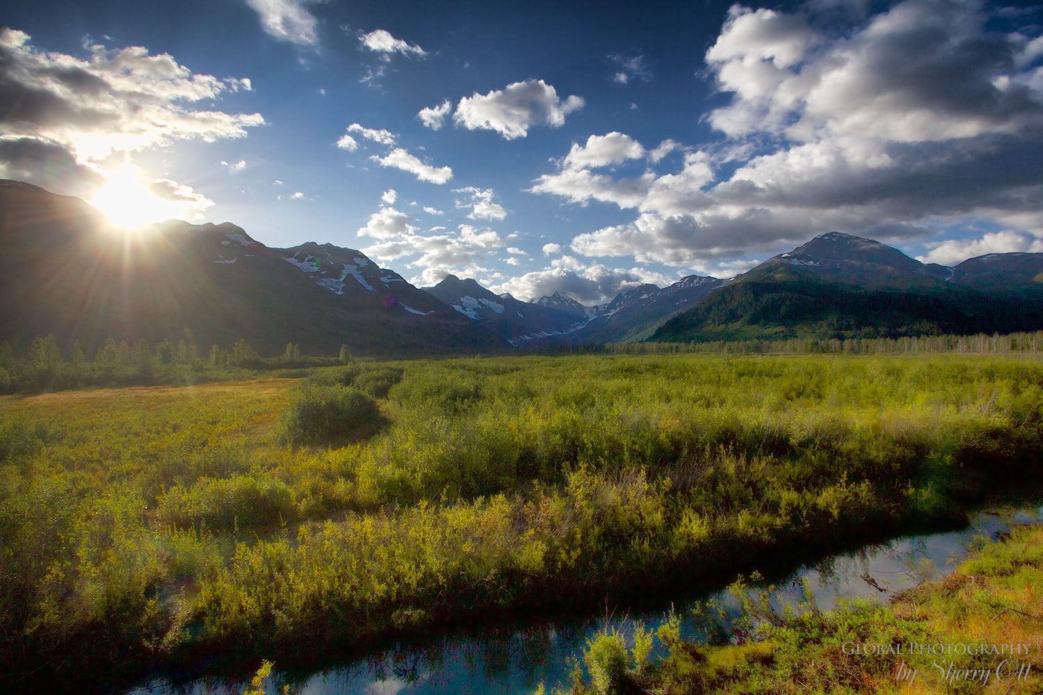 Alaska railroad Coastal Classic