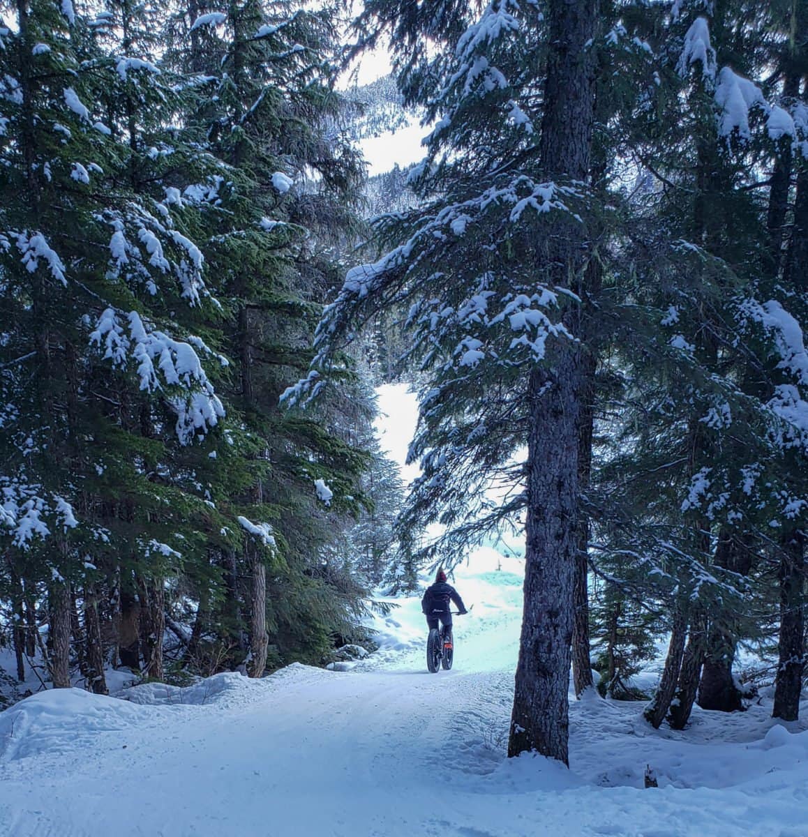 fat biking girdwood