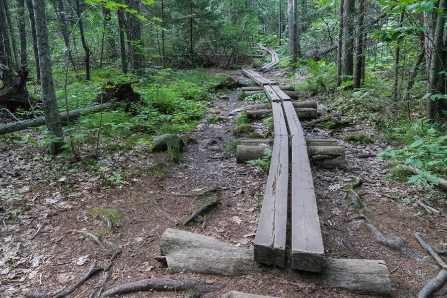 Maine Road Trip Camden Hills State Park