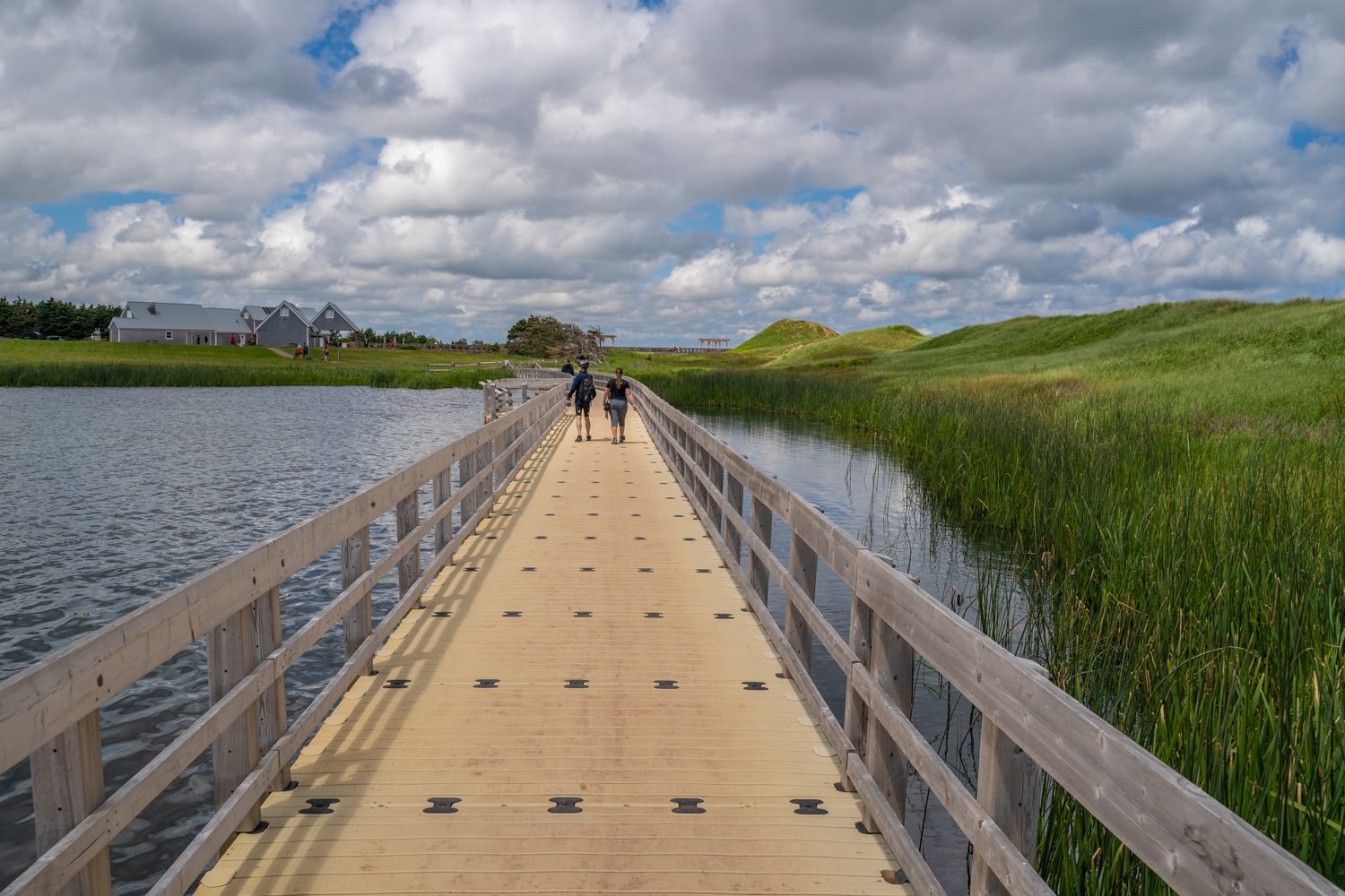 Cavendish National Park boardwalk