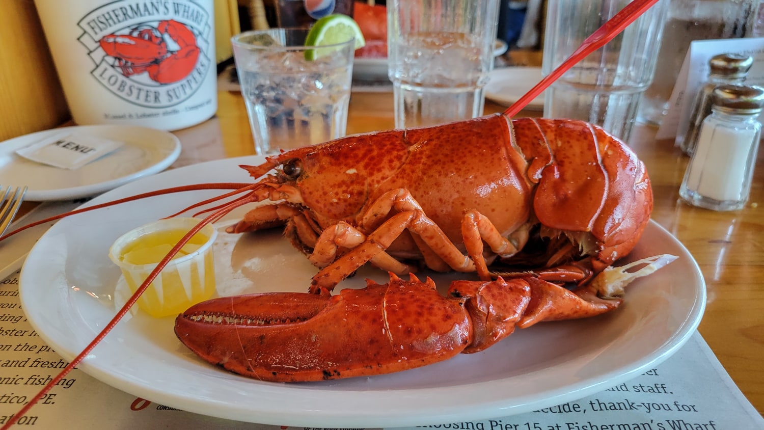 PEI lobster