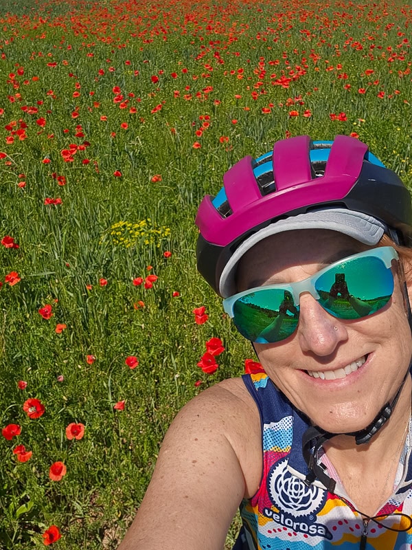 poppies southern france