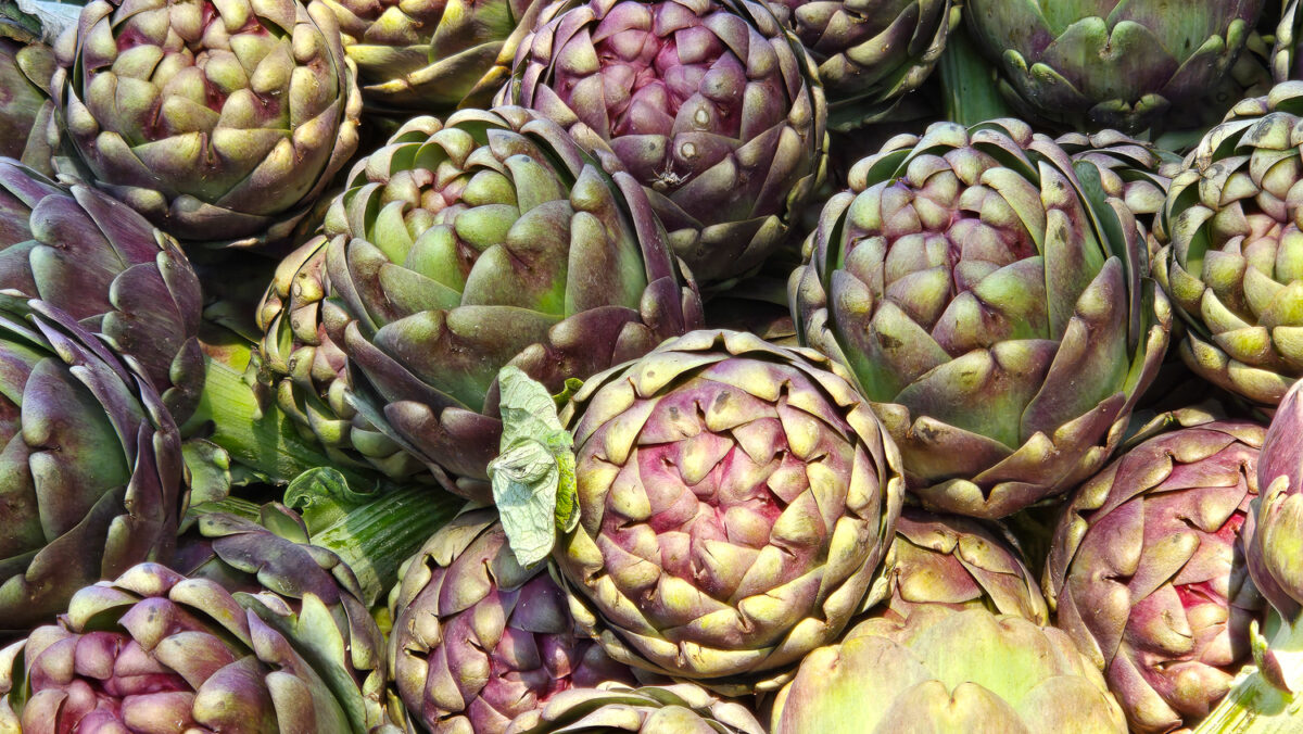 French market artichokes