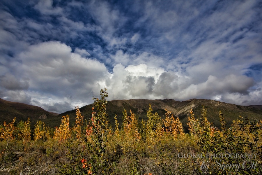 Dalton Highway Autumn in the Arctic