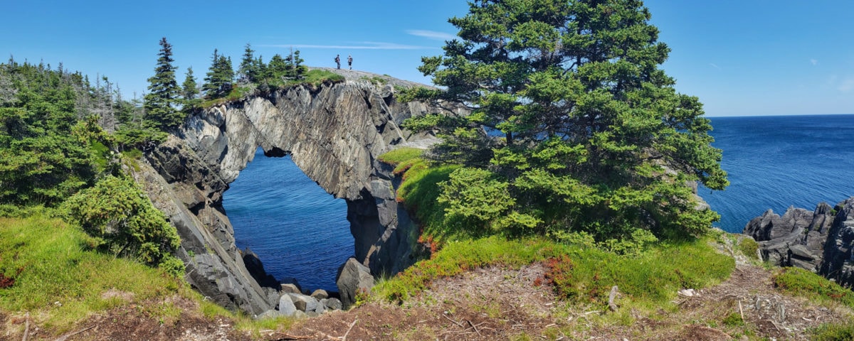 east coast trail newfoundland