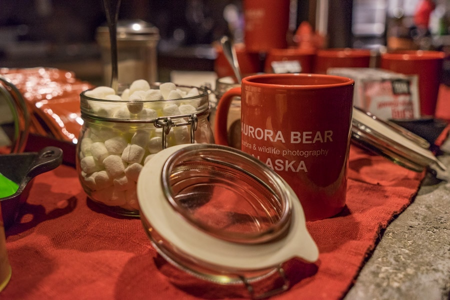 Aurora photography workshop in Fairbanks Alaska