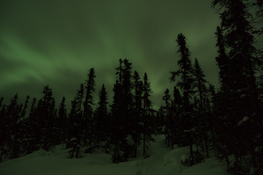 northern lights with the naked eye - alaska aurora adventures