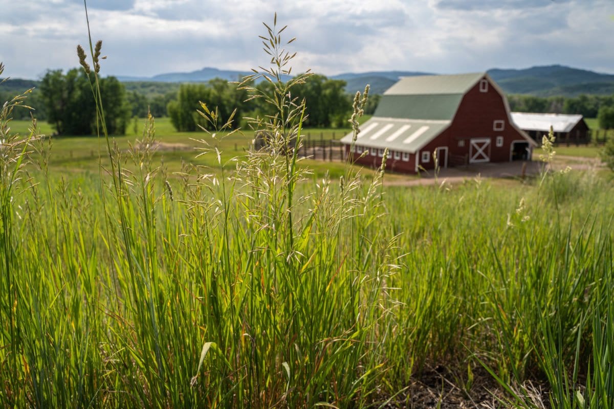 Western culture Steamboat