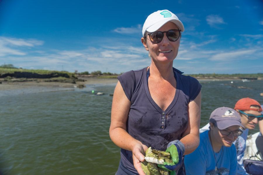 Maine Road Trip oyster farm stop