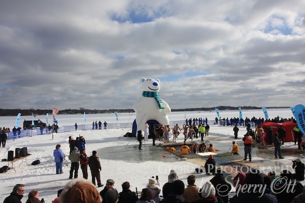 Polar Plunge
