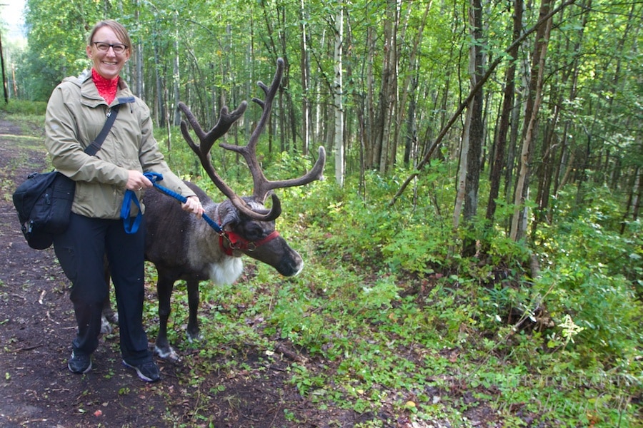 Running Reindeer Ranch