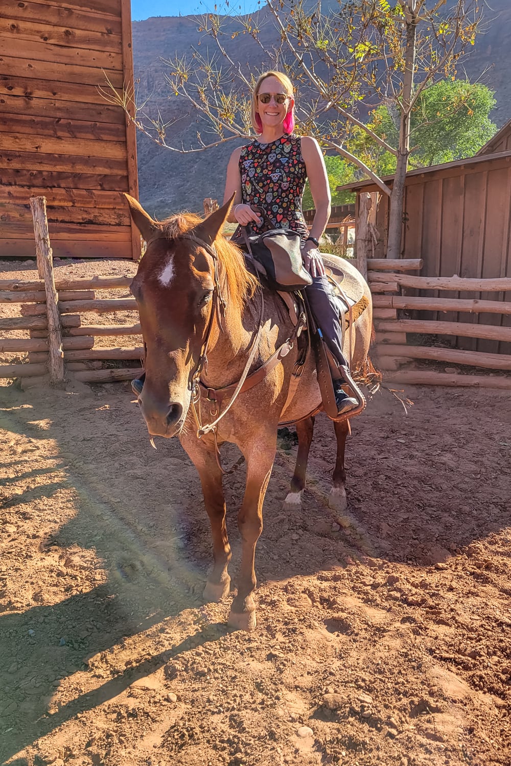 red cliffs lodge moab horse rides