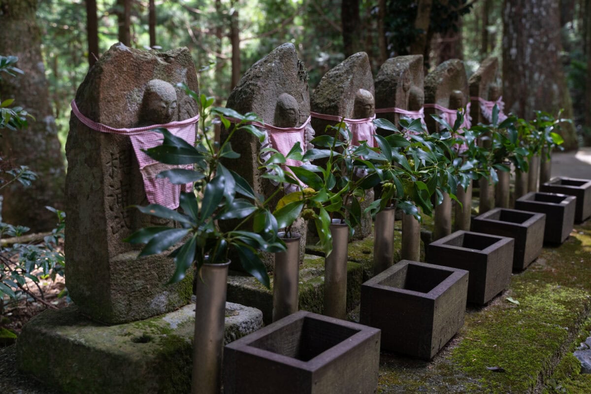 The image shows a row of stone statues, each adorned with a small pink bib, standing in a serene, forested area. In front of each statue, there are vases holding green leafy branches, and square containers lined up below, likely used for offerings or ceremonial purposes. The peaceful setting and the care put into dressing and decorating each statue suggest a site of respect or remembrance, possibly linked to a Japanese or Buddhist tradition.