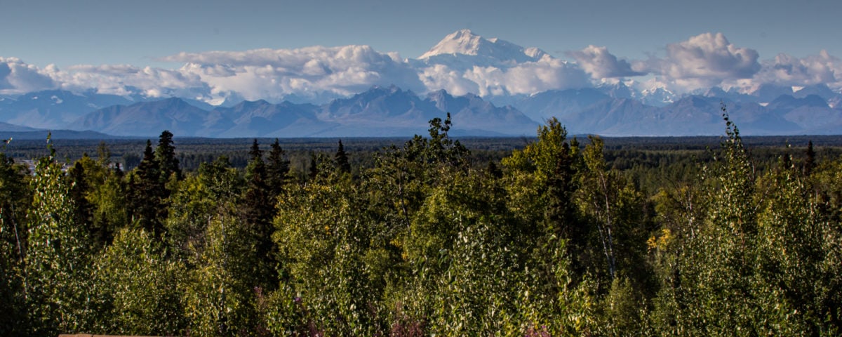 talkeetna things to do denali view
