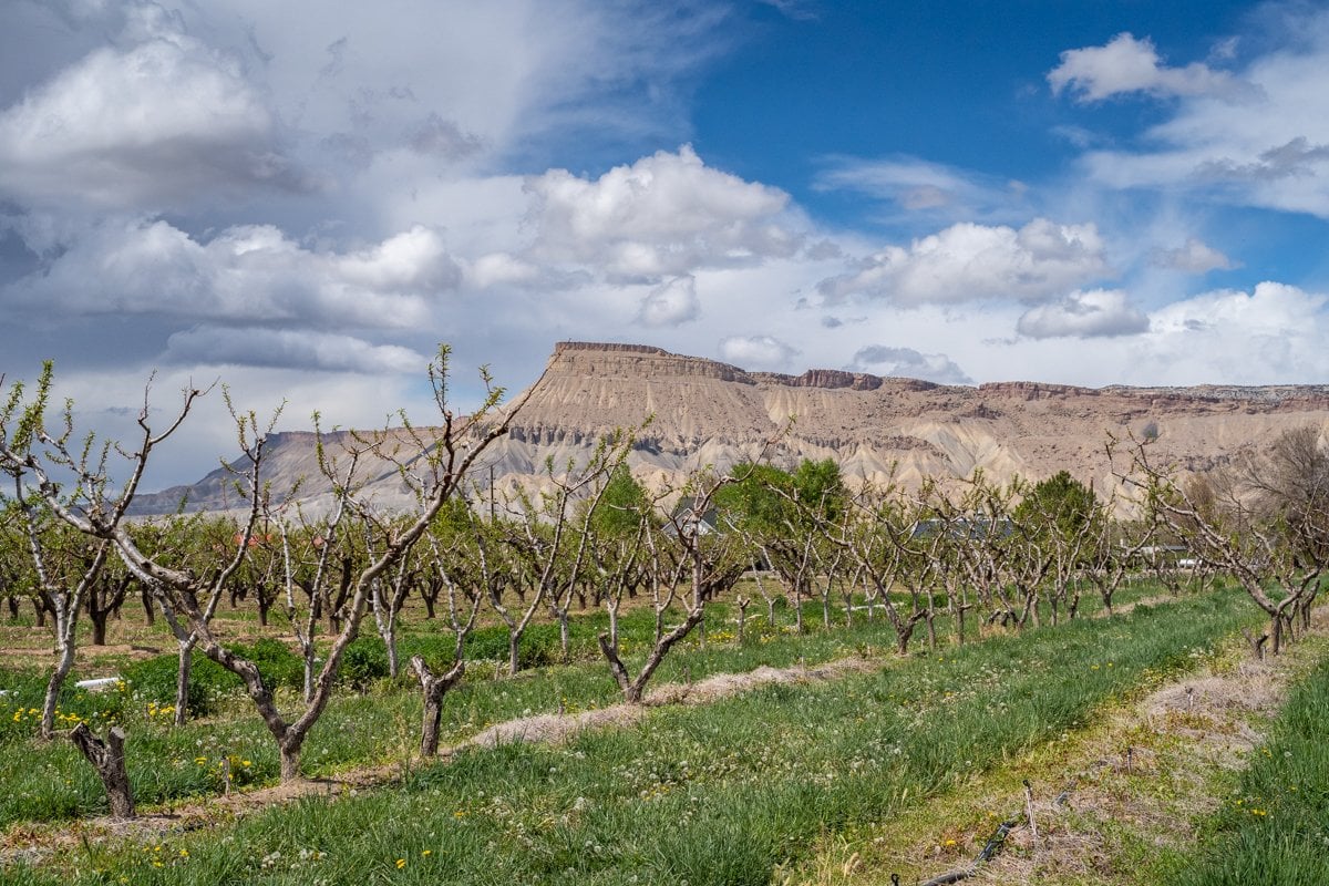grand junction spring