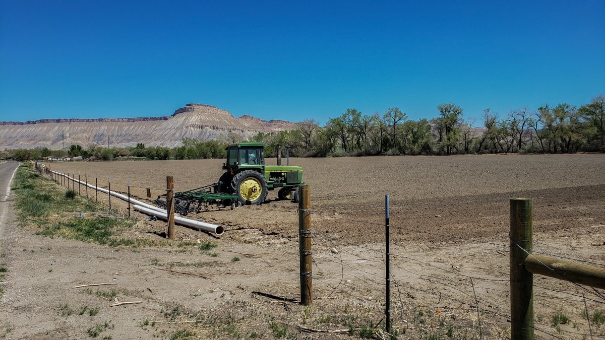 Colorado River Trail Grand Junction