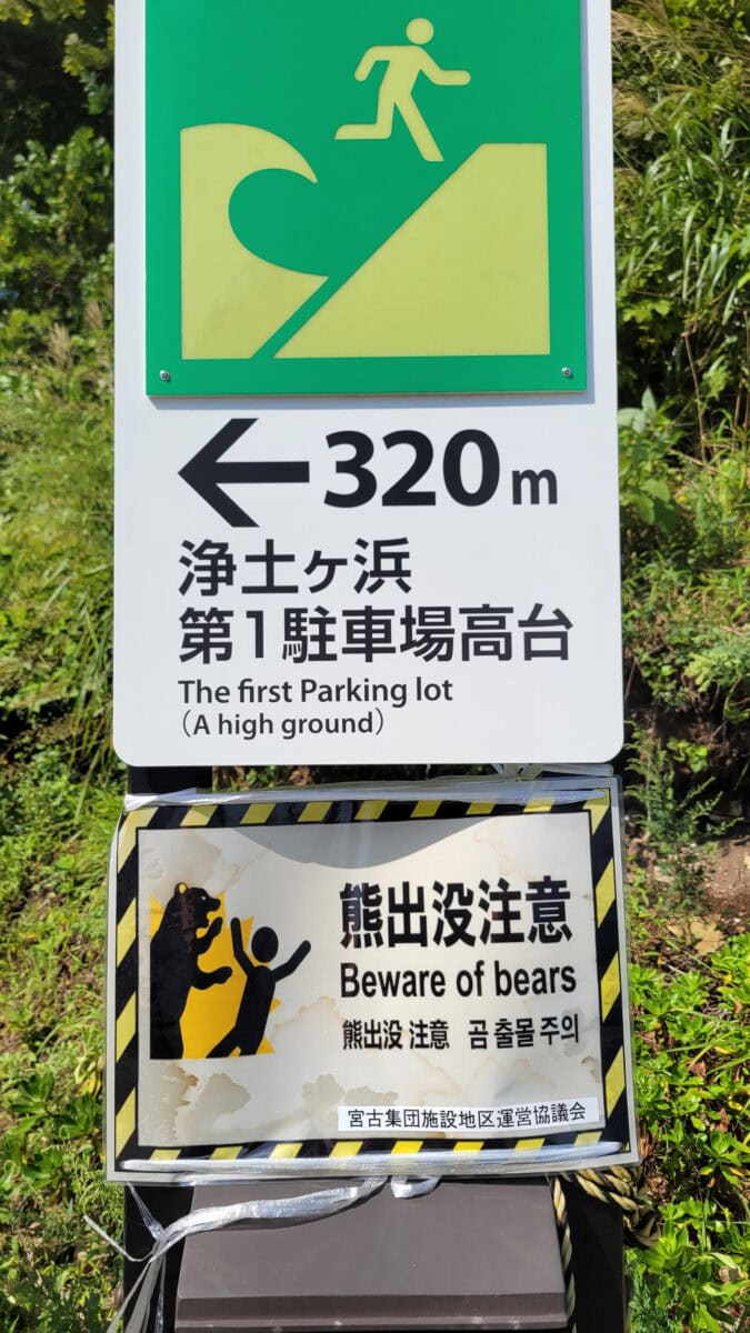 Tsunami warnings tohoku