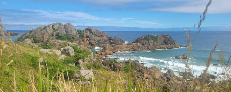 Travel Tohoku Coast Japan