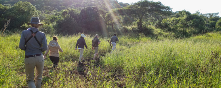 walking safari south africa