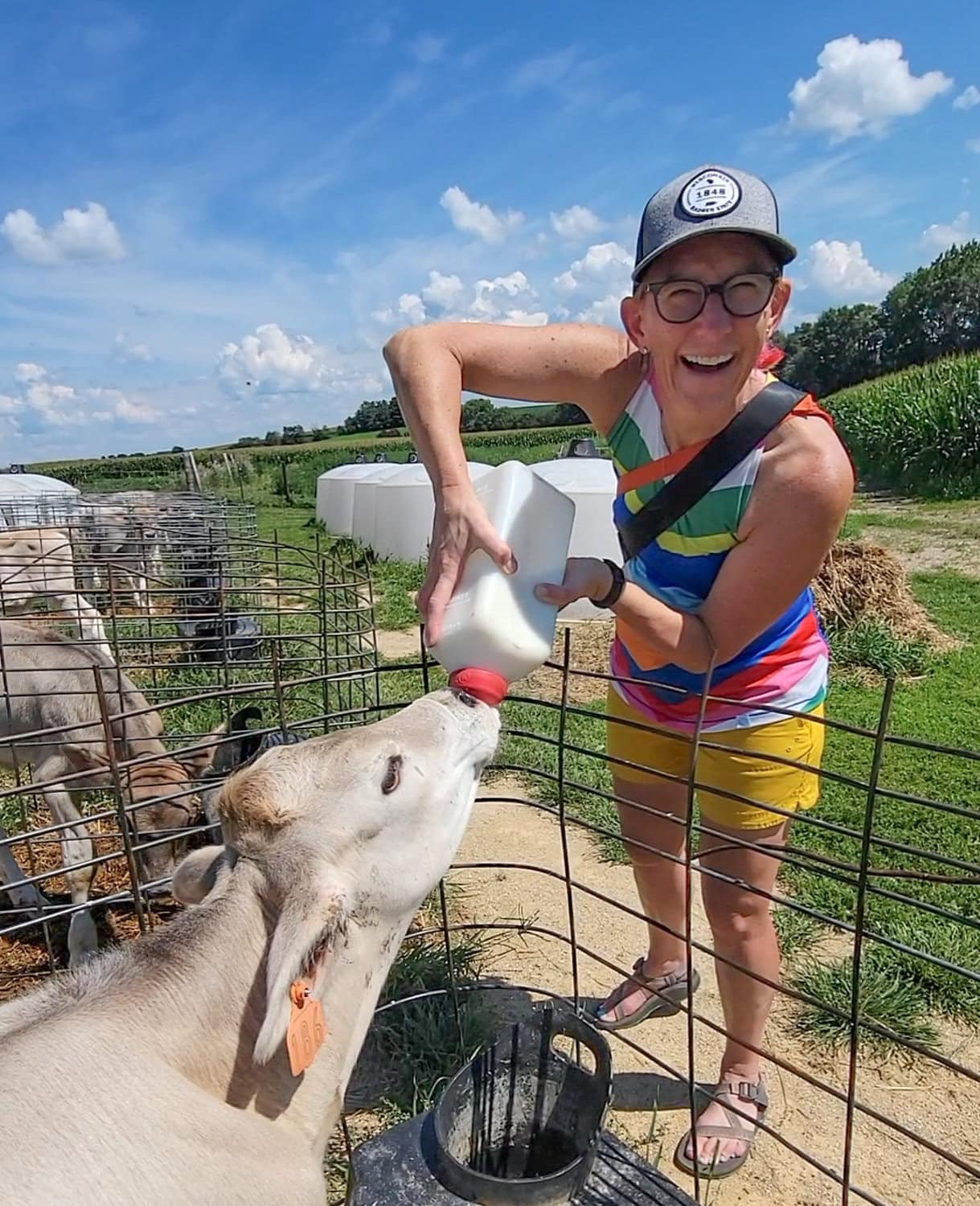 Wegmeuller Dairy Farm Wisconsin